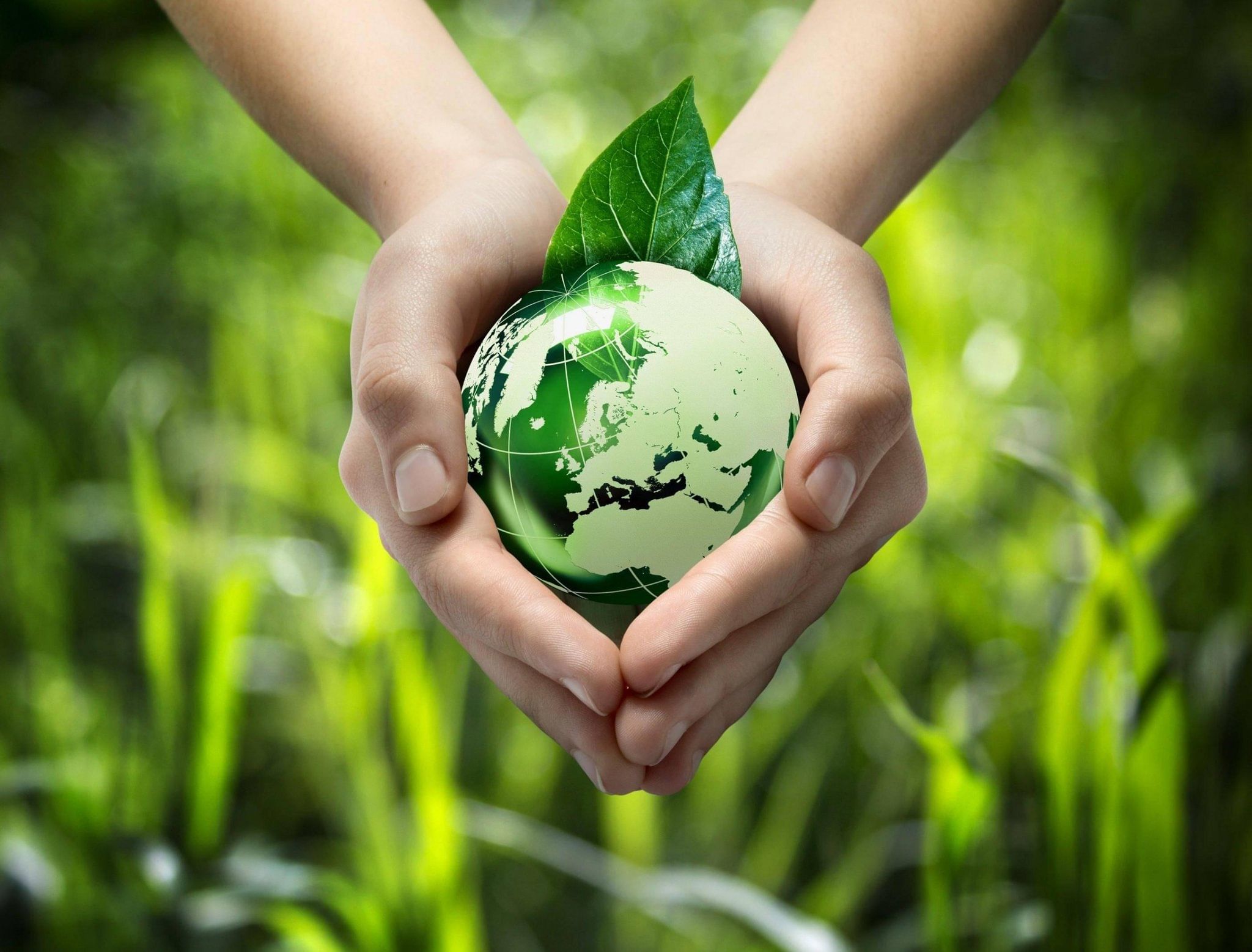 Зелёный Аромат: Топ-5 Экологически Чистых и Устойчивых Парфюмерных Трендов 2023 post thumbnail image